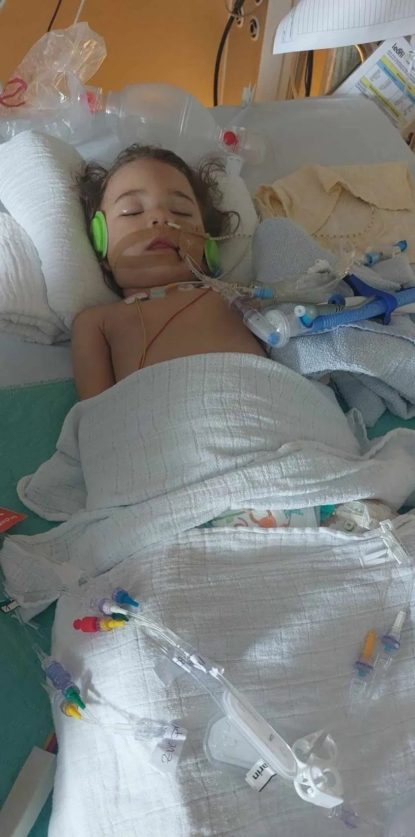 elemet nyelt Lara, Németországban 