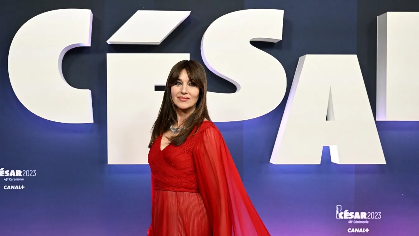 Koltai Lajos felidézi Monica Bellucci erotikus jeleneteit