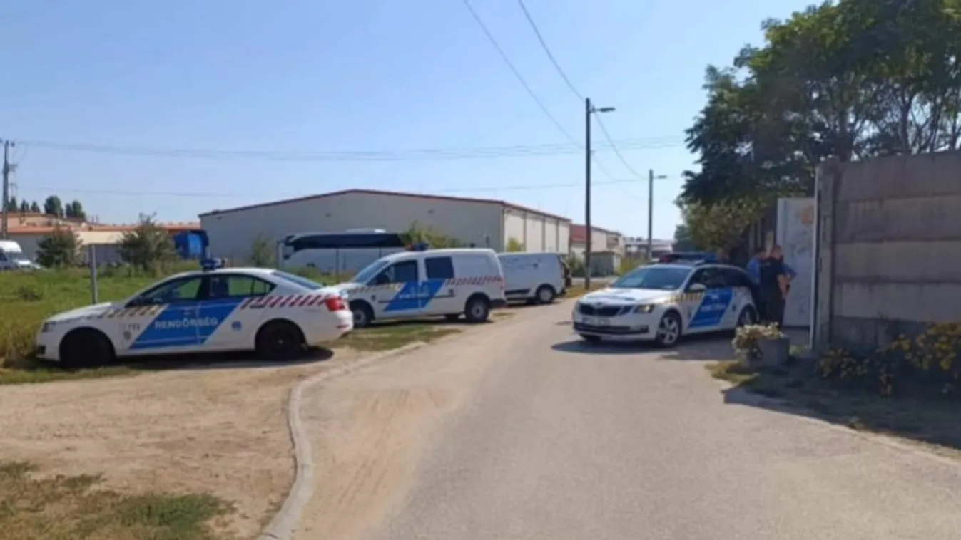 Négy napig haldoklott Vecsésen a sorsára hagyott kuvasz