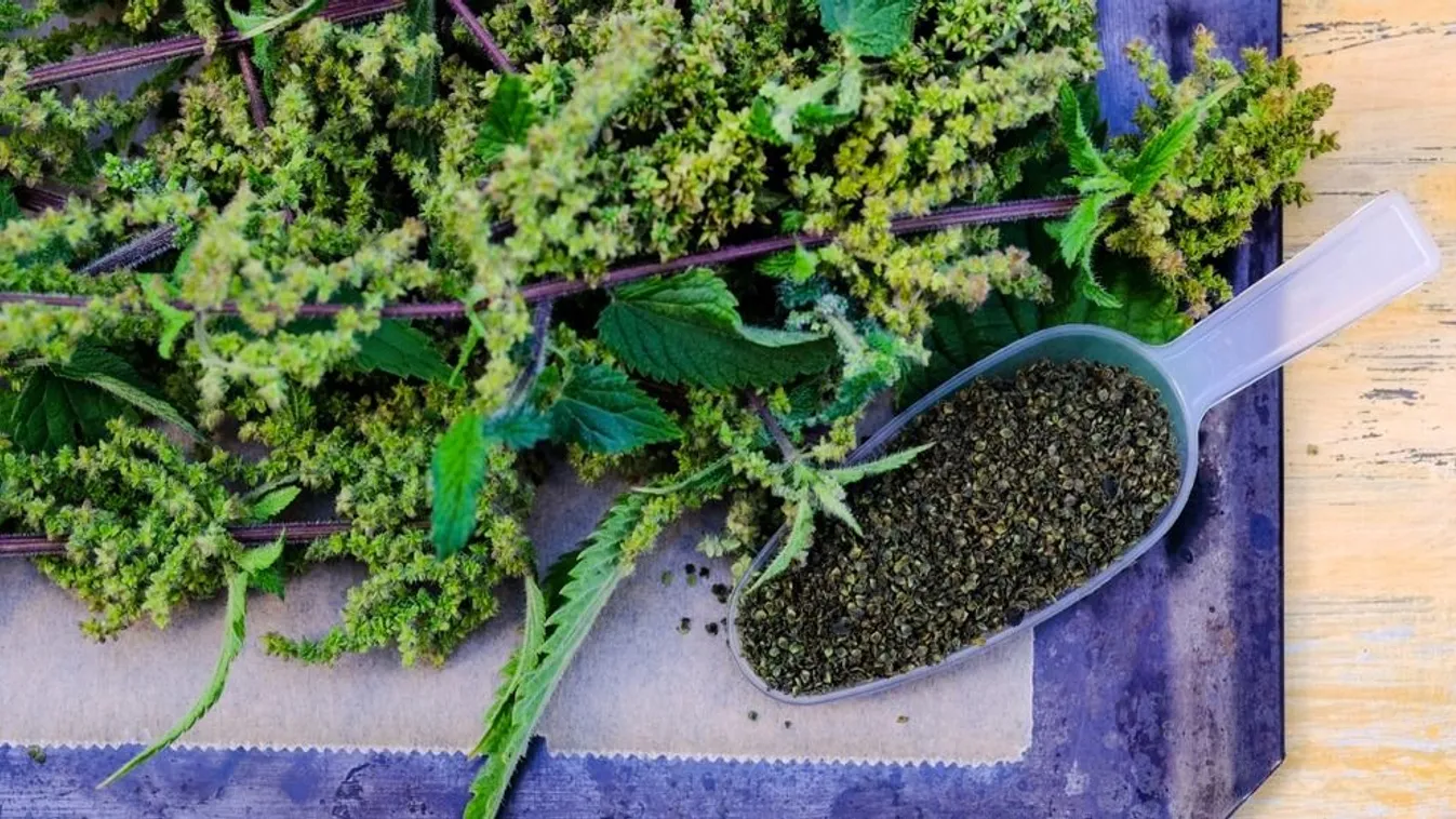 Most terem az ősi afrodiziákum