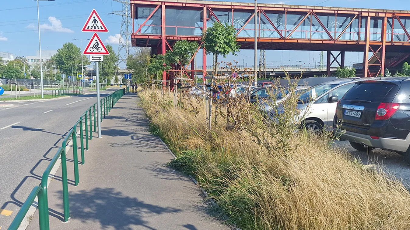  Ezek a fotók arattak győzelmet a Metropol fotópályázatán