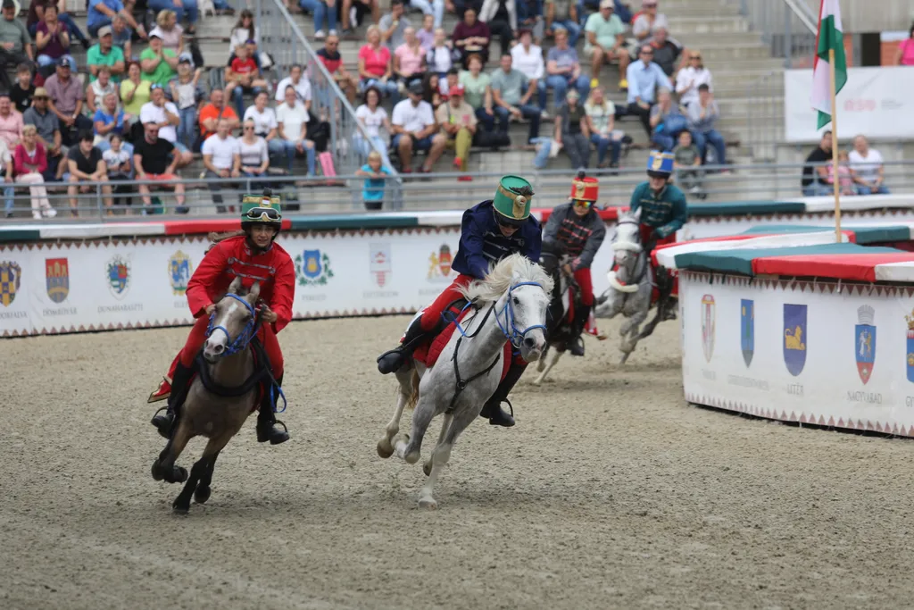 nemzeti vagta abonyi