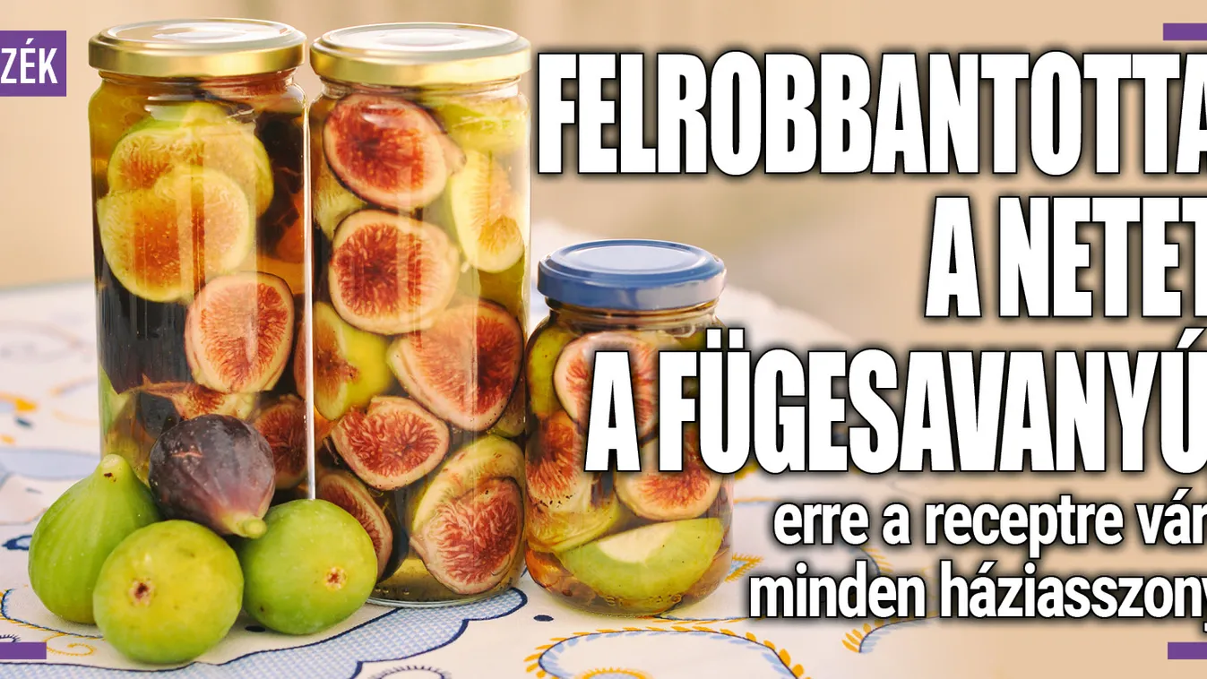 Felrobbantotta a netet a fügesavanyú