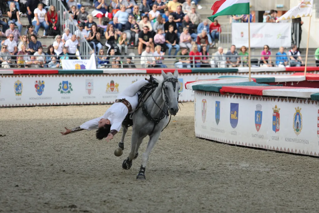 nemzeti vagta abonyi
