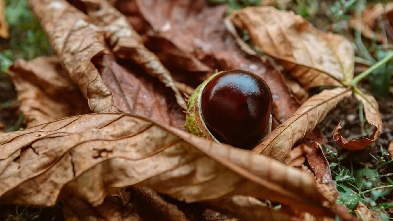 Felhősen indul a hét, most is szükségünk lesz az esernyőre