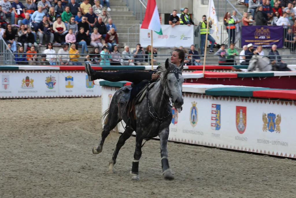 nemzeti vagta abonyi