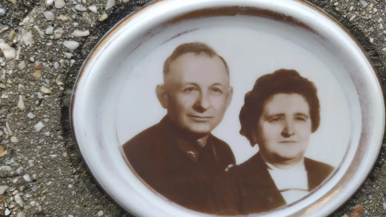 Számítógépes programmal találta meg Károly a rokonát