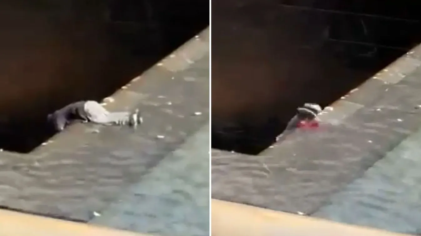 Egy férfi beleugrott a 9/11-emlékmű hatalmas medencéjébe