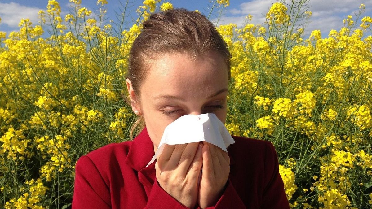 allergia, pollen, Pixabay illusztráció
