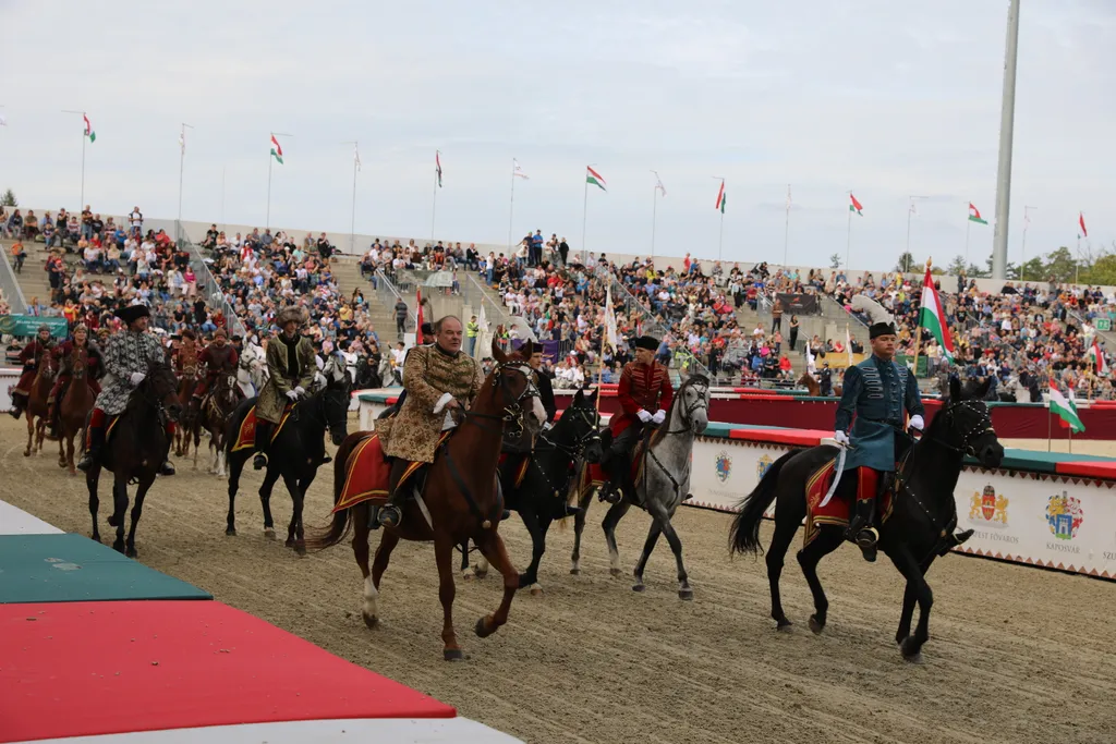 nemzeti vagta abonyi