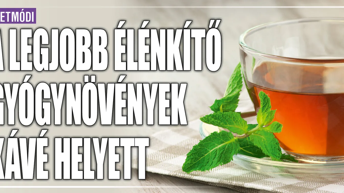 A legjobb élénkítő gyógynövények kávé helyett