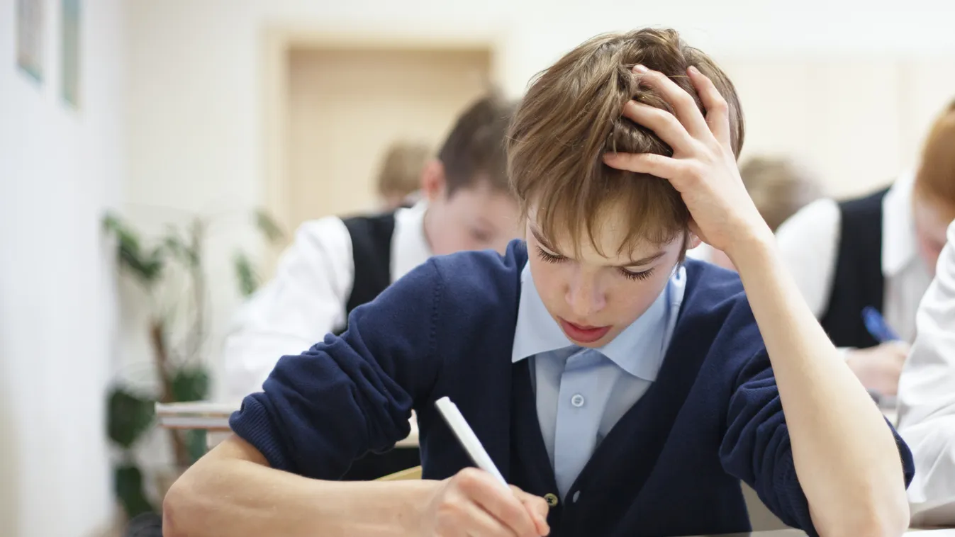 A bécsi középiskolások 77%-a nem beszél otthon németül