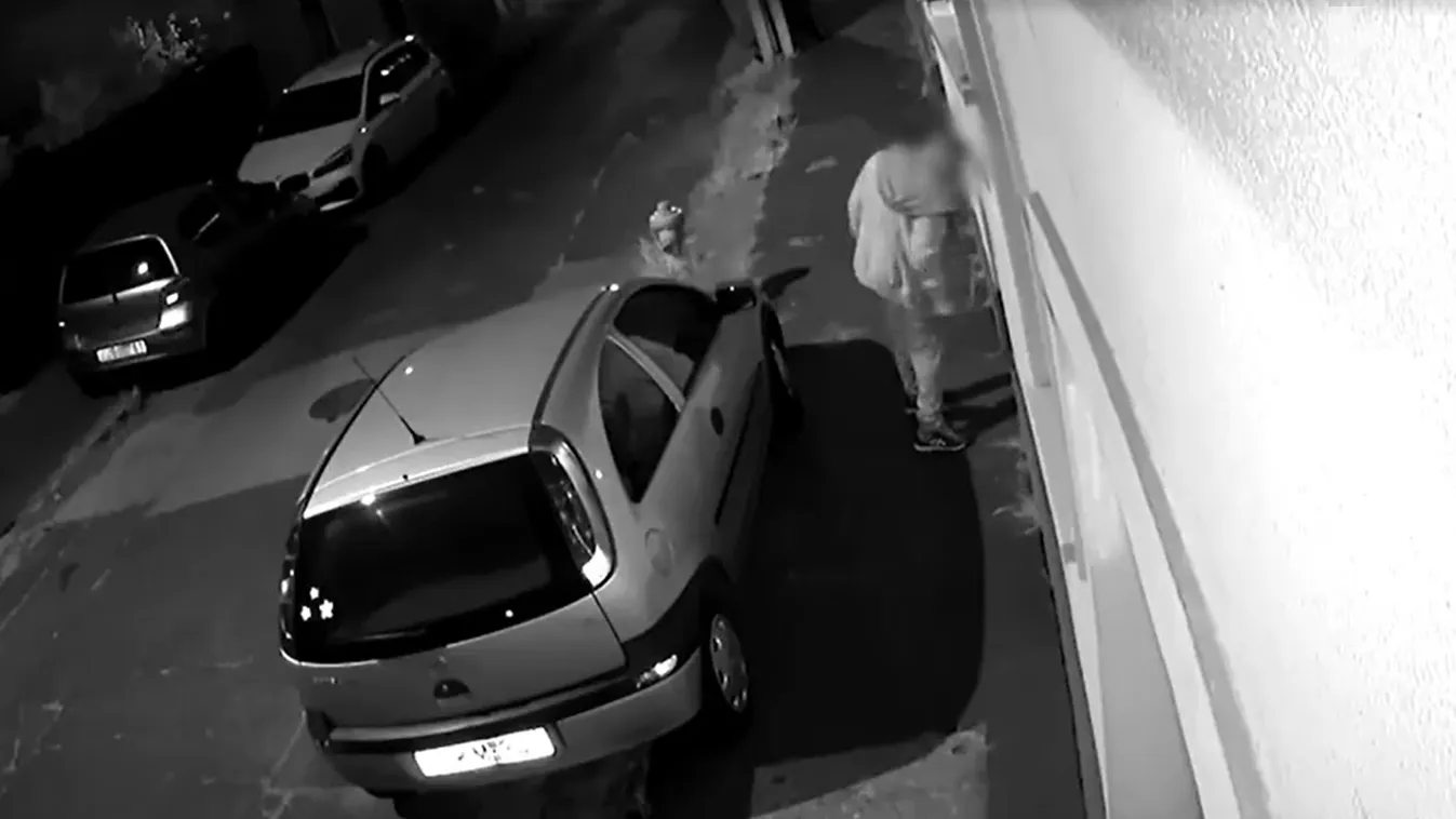 Ok nélkül többször szájba szúrtak egy kutyát Pesterzsébeten