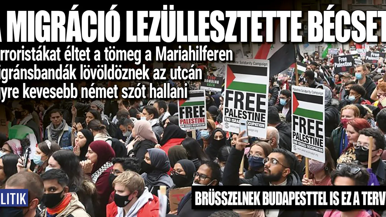 A tömeges migráció teljesen megváltoztatta Bécset