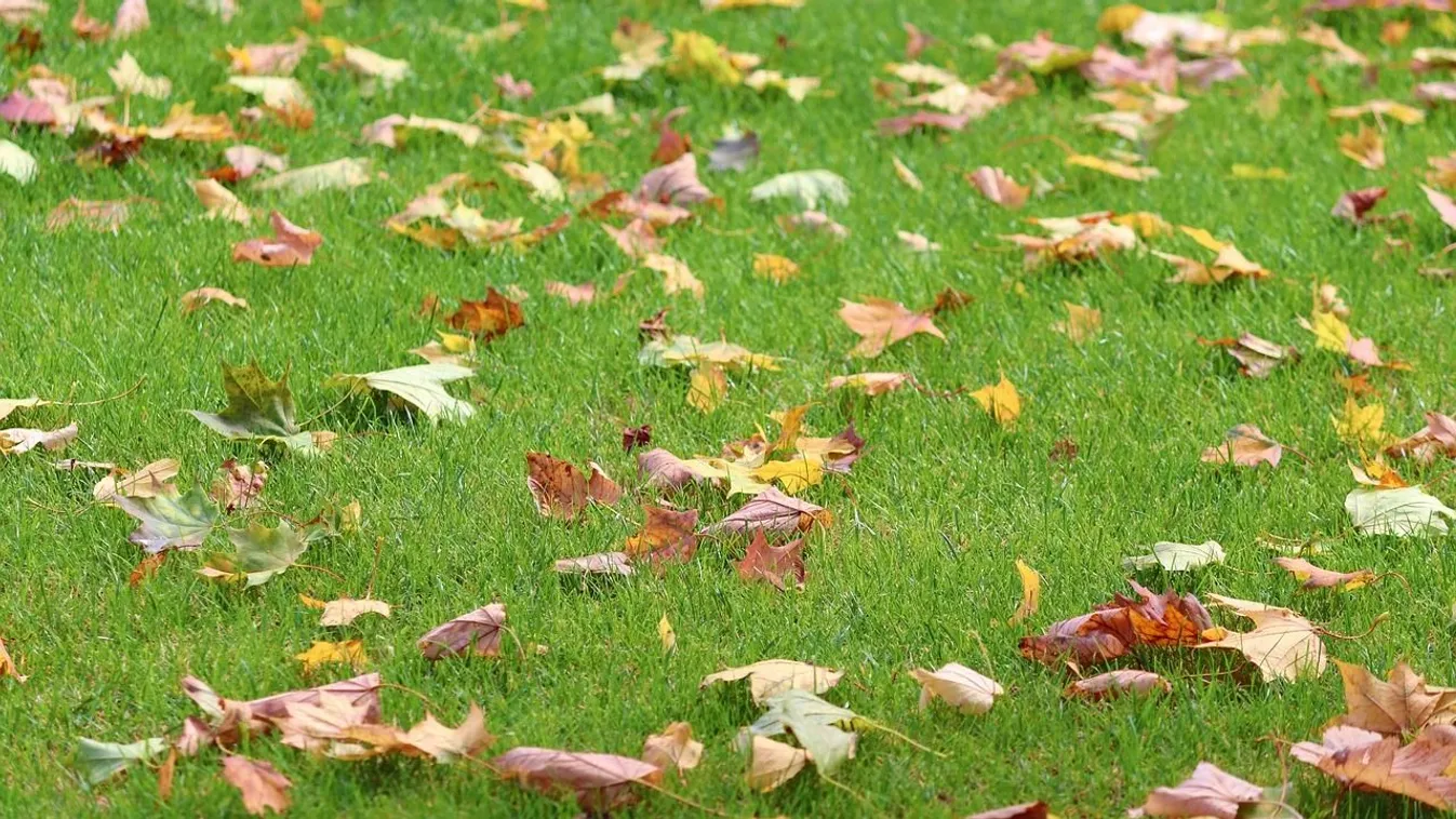 Kellemes őszi nappal folytatódik az október