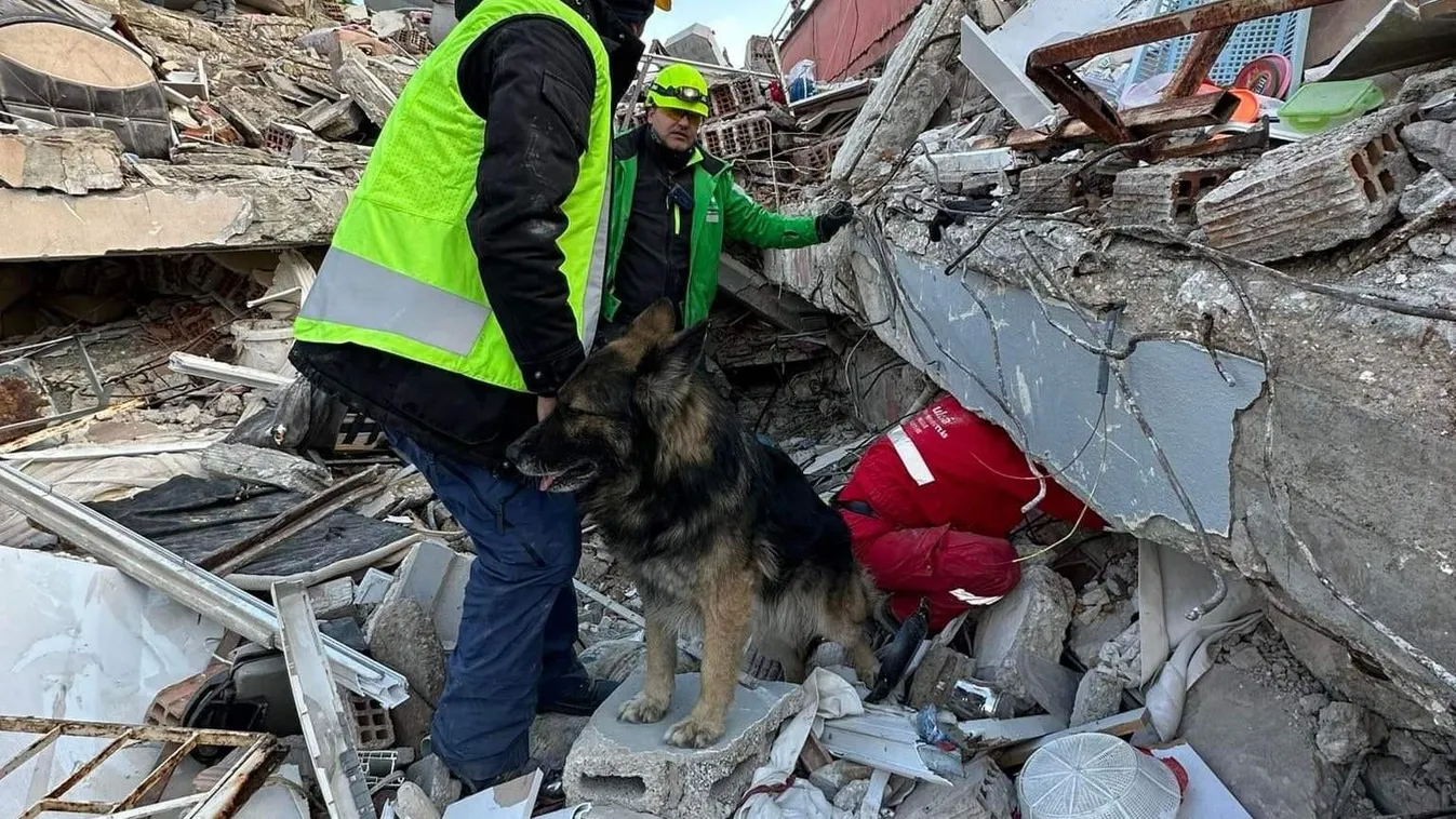 Meghalt a magyar hős kutya, aki Törökországban segített