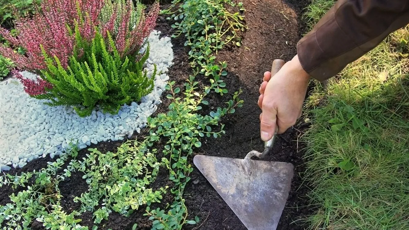 Így ültess virágot a temetőbe