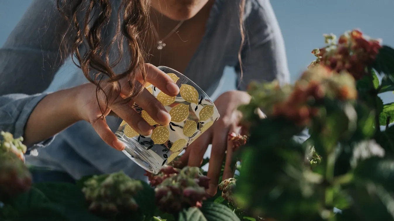 Nem húzott kesztyűt a kertészkedéshez, majdnem belehalt