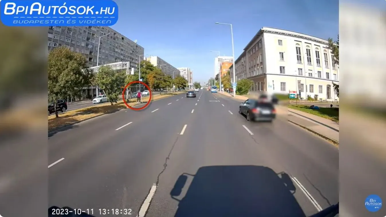 Csoda, hogy túlélte: ott kelt át, ahol nem kellett volna