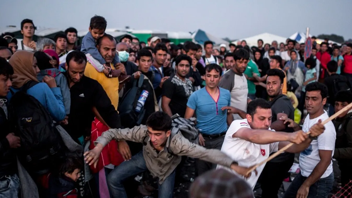Lövöldözés, támadások a magyar határon