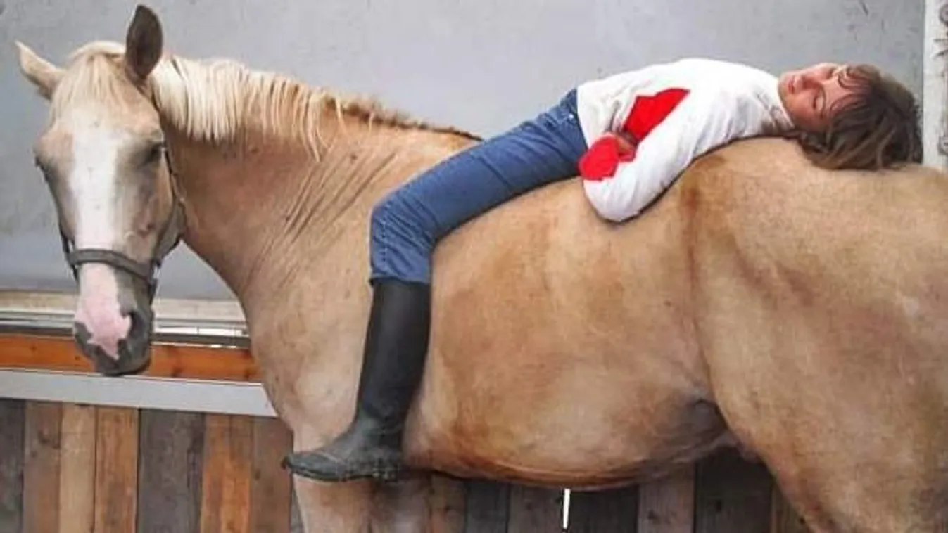 Tíz év után talált rá lovára Fanni