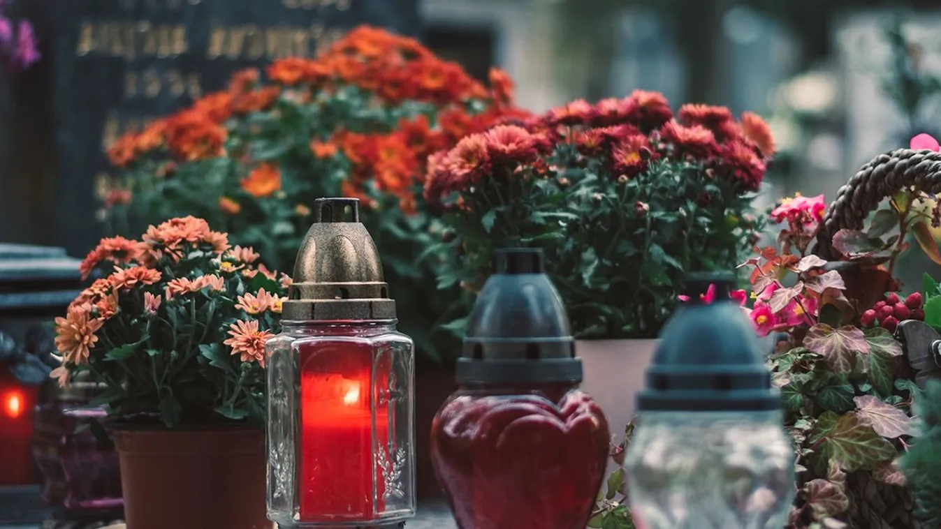 Ez a legnépszerűbb virág, ami ilyenkor a temetőkbe kerül