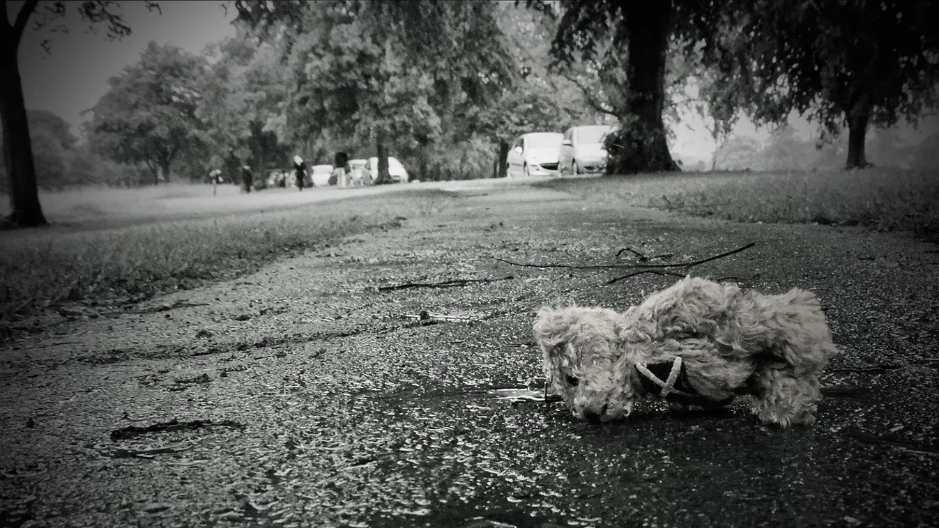 Borzalom: 4 kisgyereket és a szüleiket tarolta le a kamion