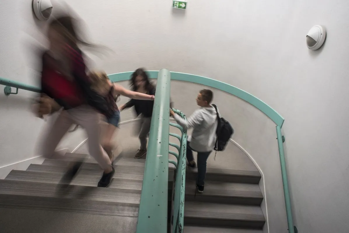 Le college. Au quotidien