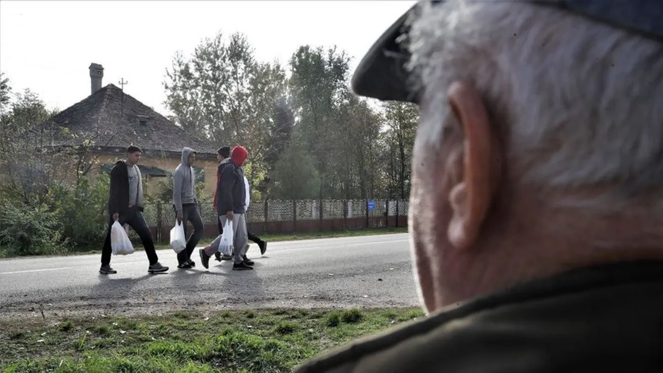 Migránsleszámolás Horgoson