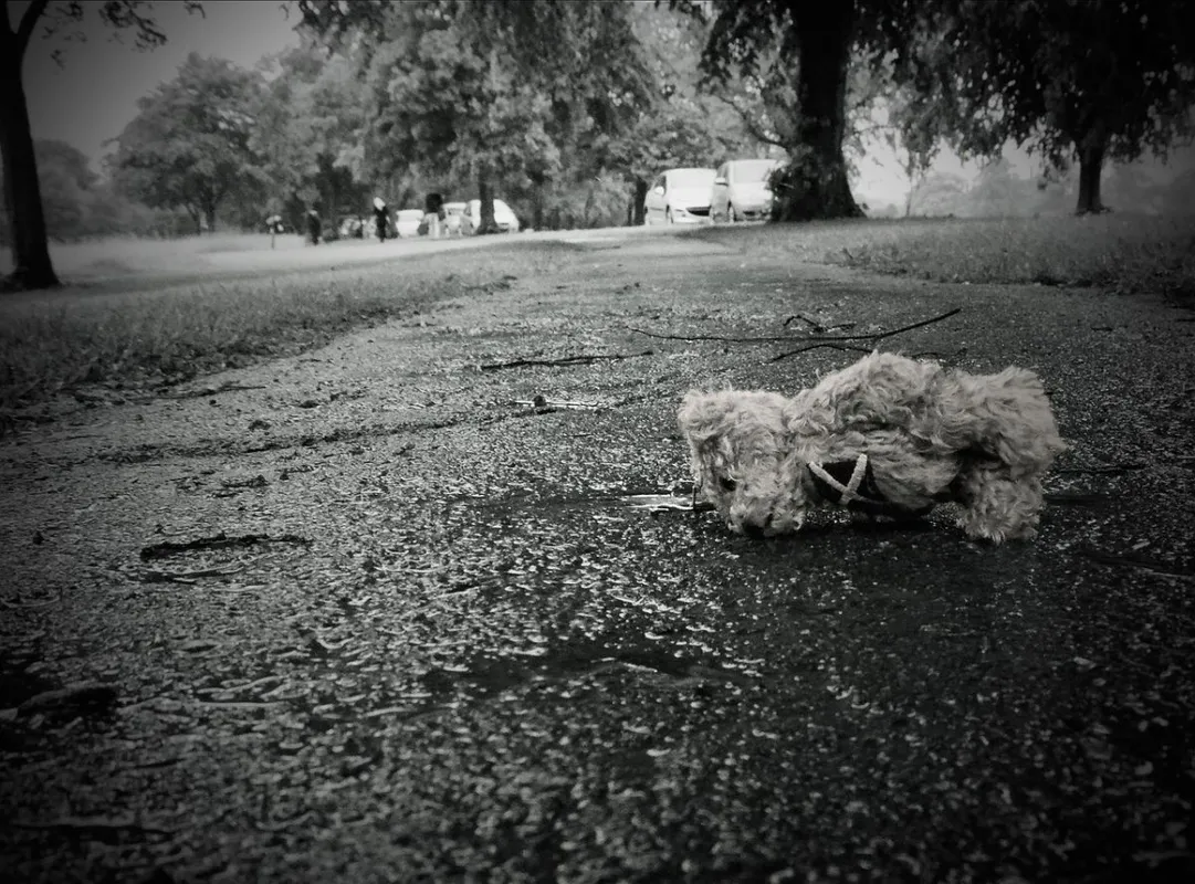 plüss, gyerekjáték, mackó