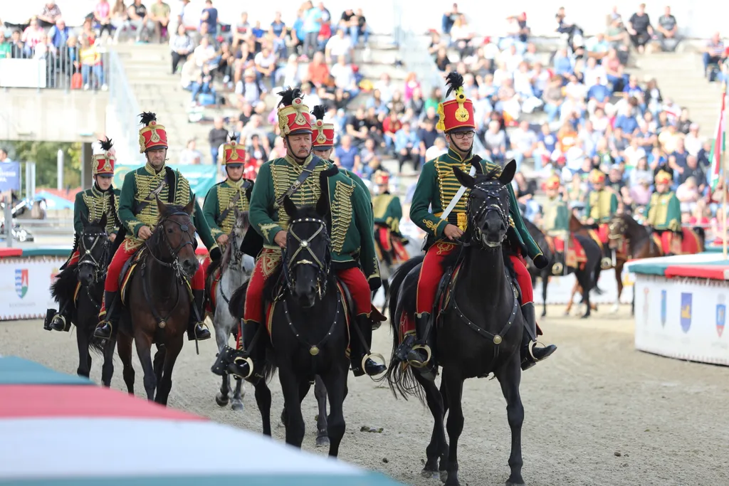 nemzeti vagta abonyi