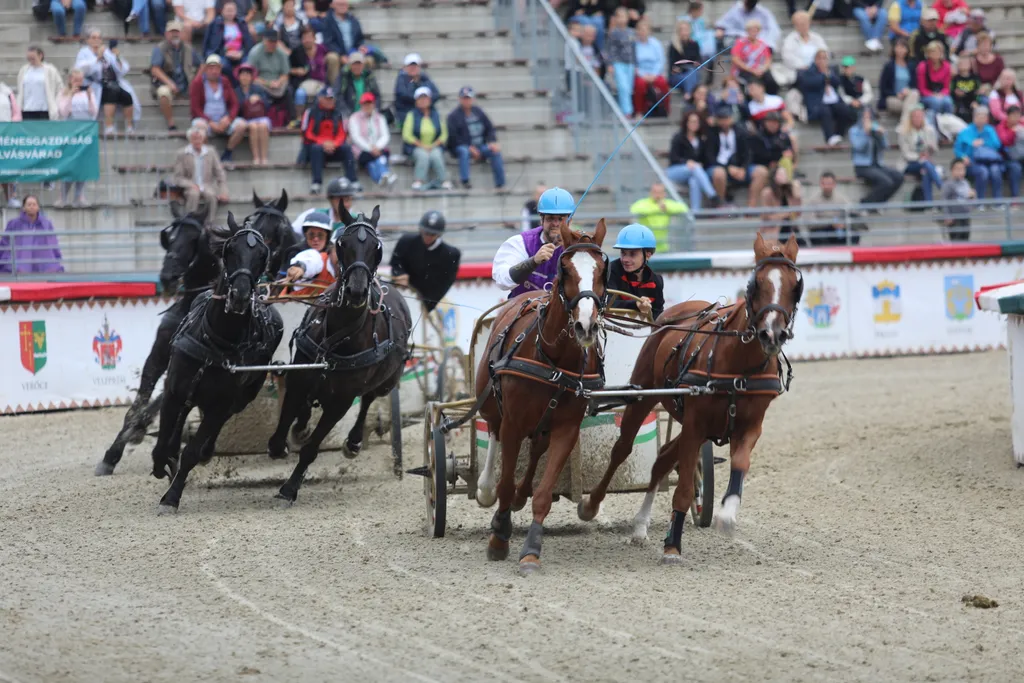 nemzeti vagta abonyi