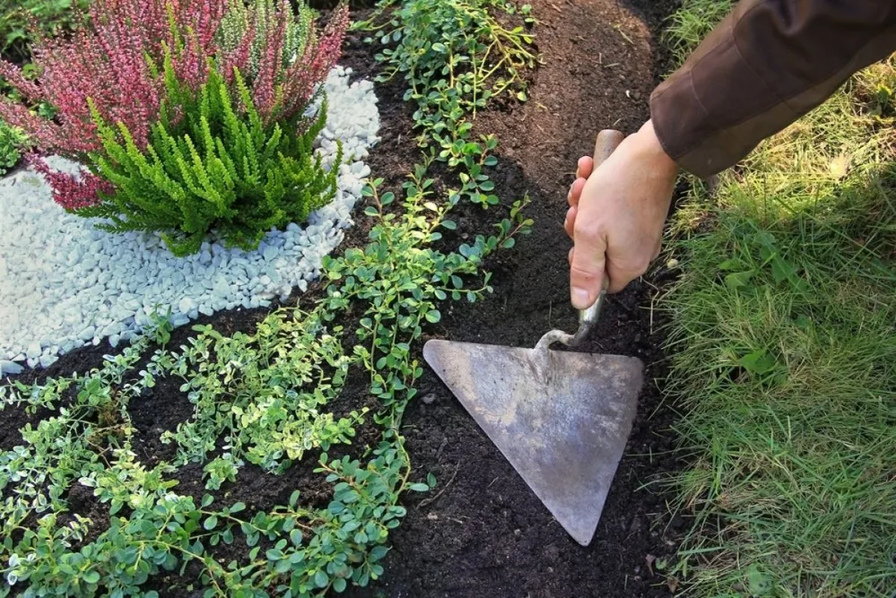 Grave,Cultivation,And,Maintenance,,Gardener,Planing,With,A,Trowel