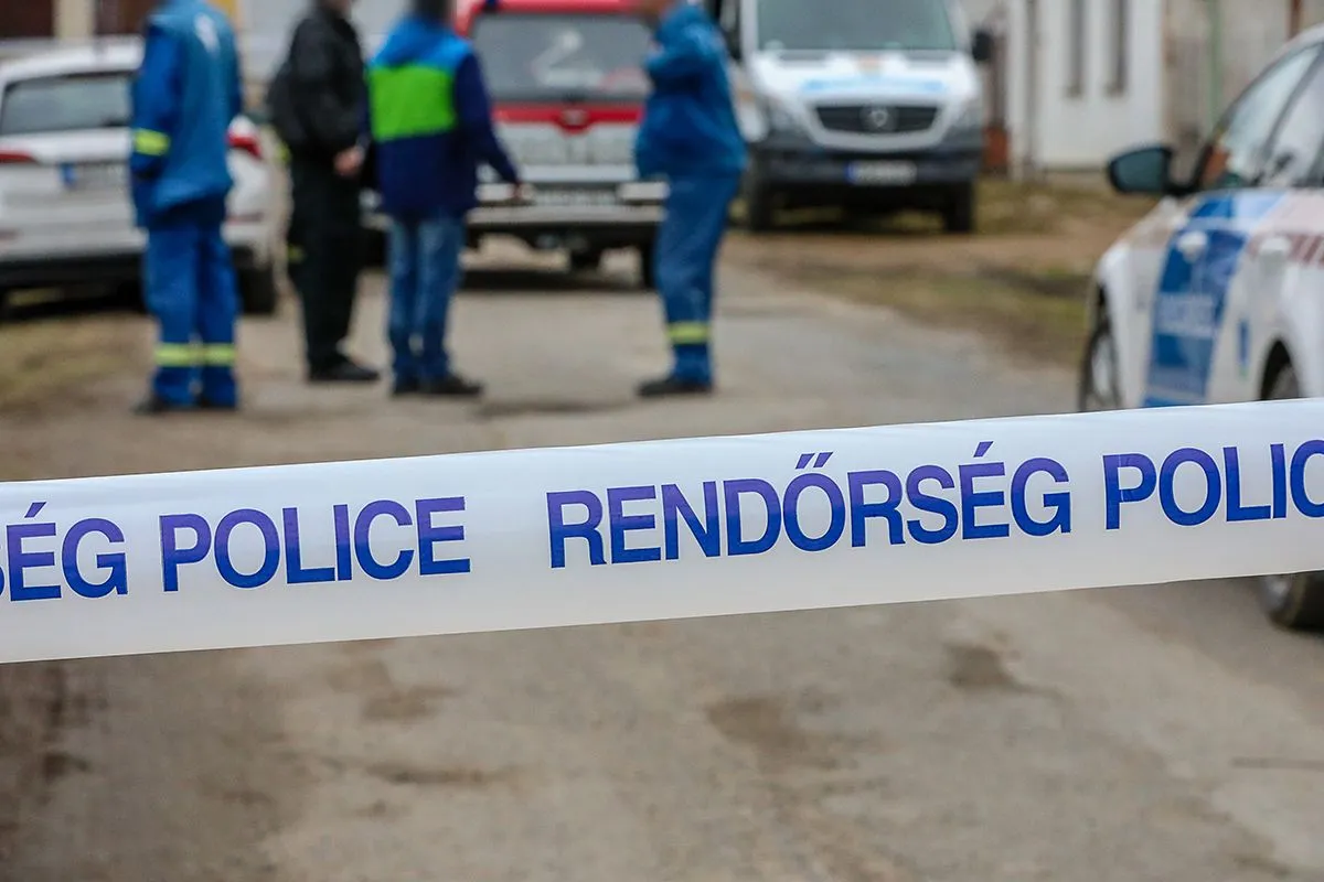 horrorszülők
csepreg