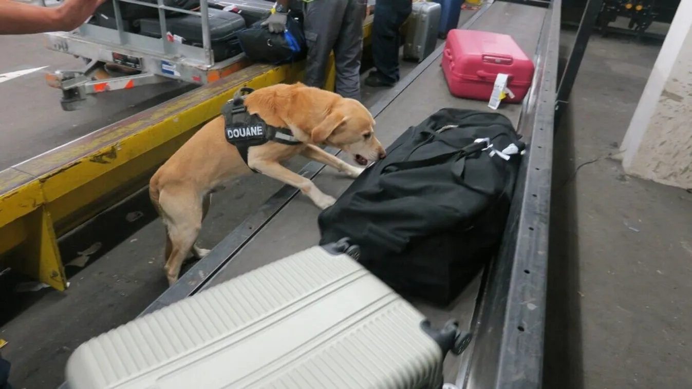 Terrorkészültség: 6 repülőteret evakuáltak Franciaországban