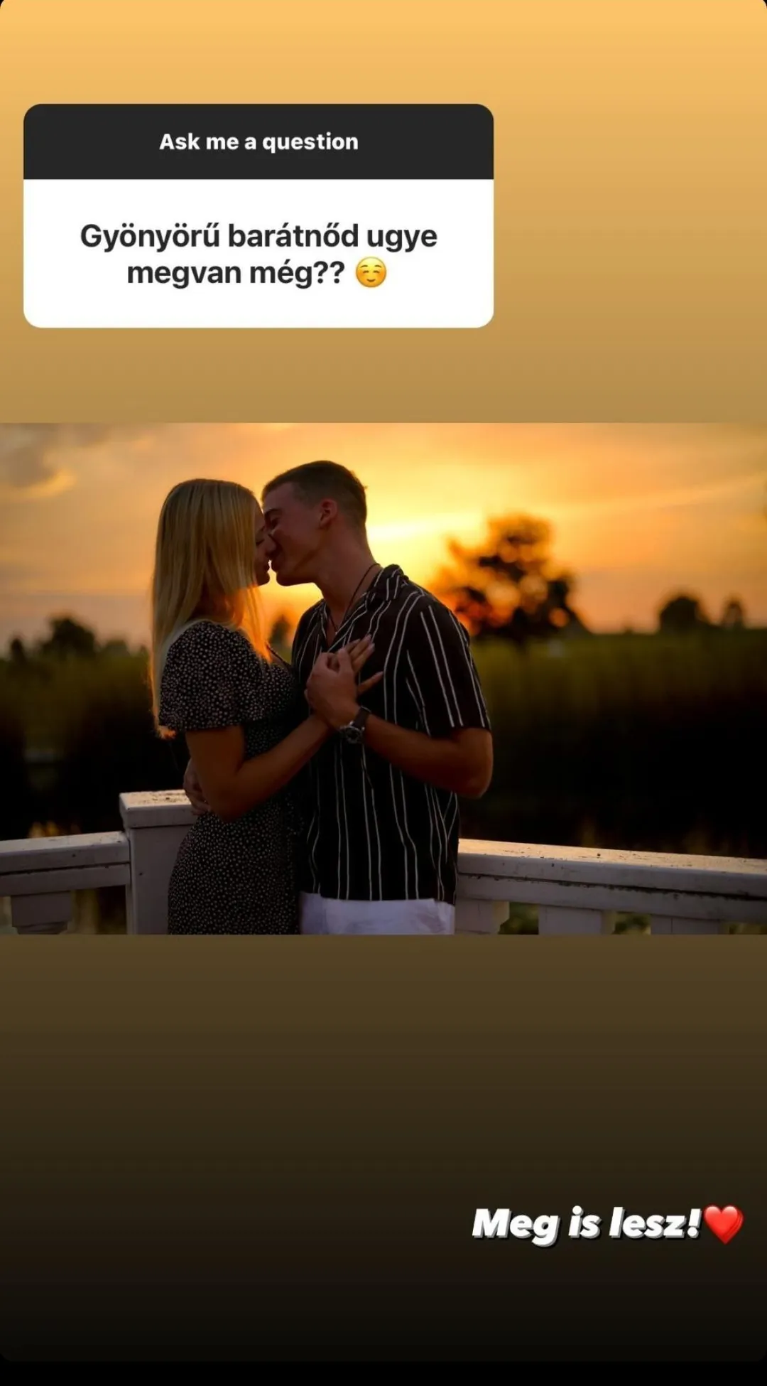 ifjabb Schobert Norbert