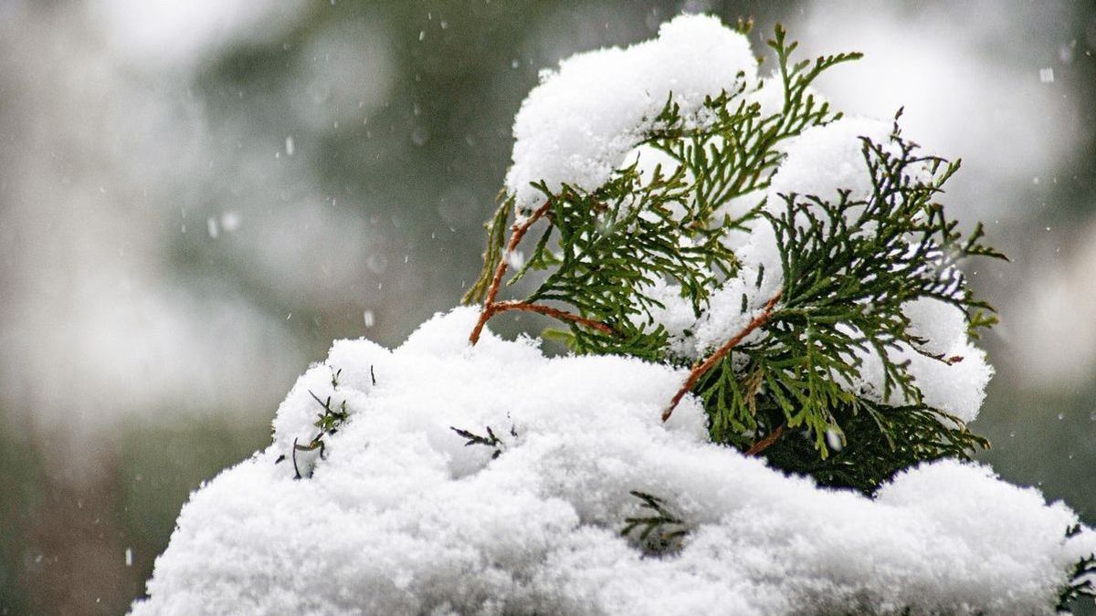 Bekeményít az időjárás: minden nap havazni fog