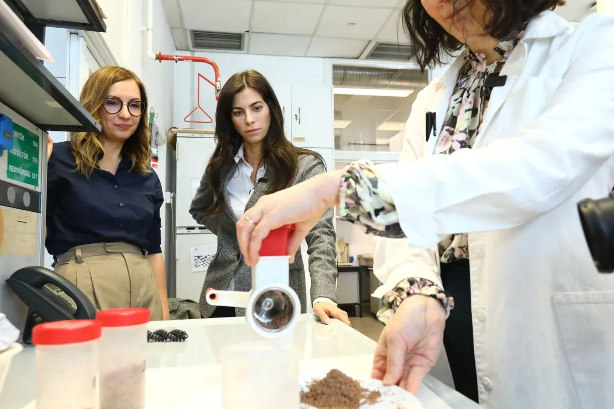 Fogyasztóvédelem csokimikulas 