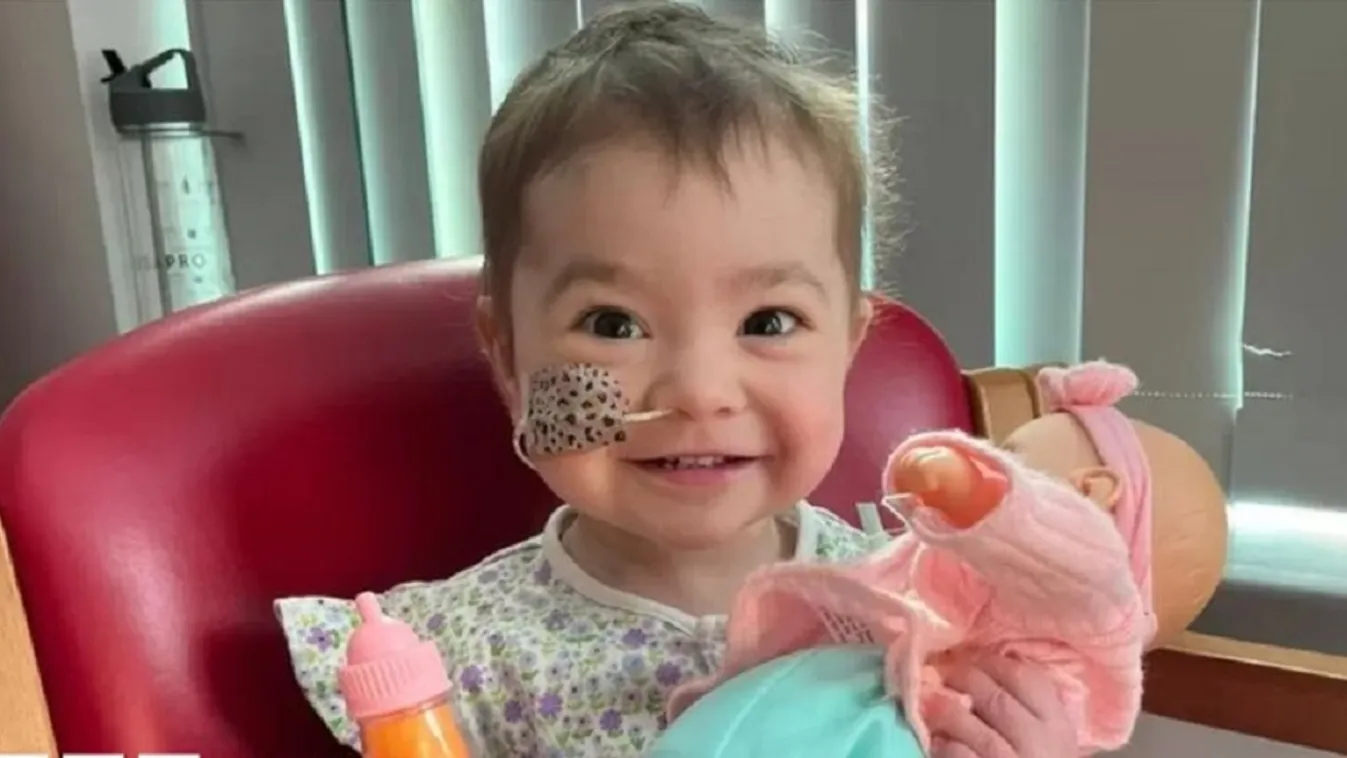 Belehalt a rákba a tündéri 2 éves kislány