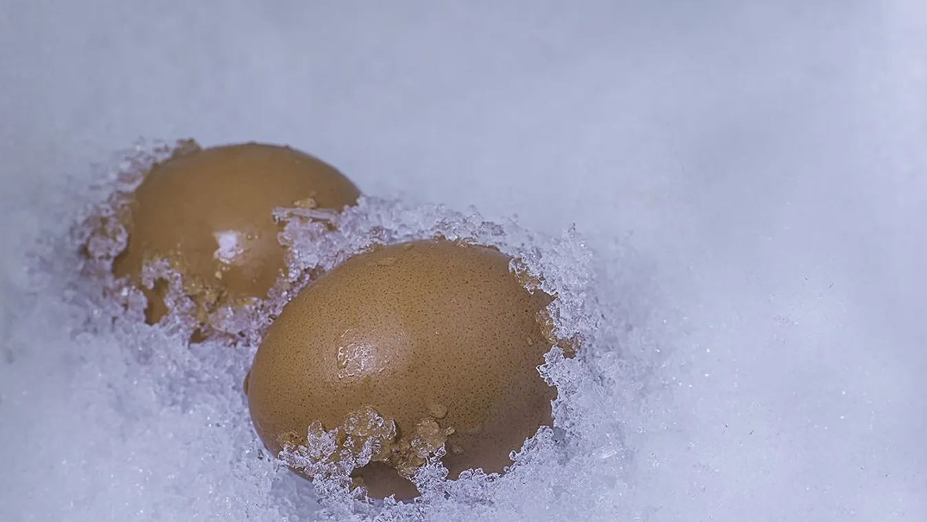 Zseniális: ez történik a tojással, ha berakod a mélyhűtőbe