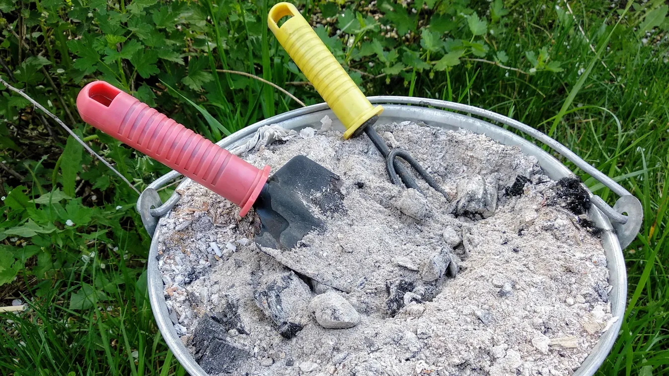 Szórj fahamut a diófa alá, zseniális ez a trükk!