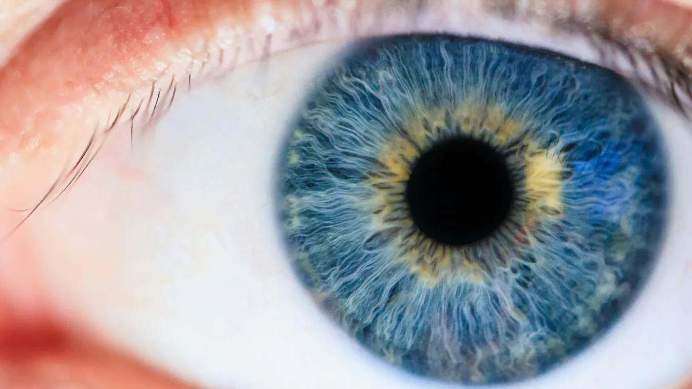 Bebizonyosodott a legrosszabb a csillogó szemű pici fiúról