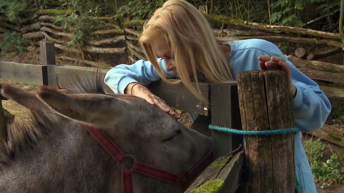 Dráma a Farm VIP-ban: megtámadták Polgár Tündét