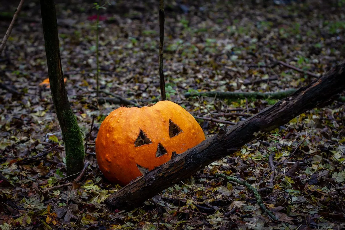 Bright,Orange,Pumpkin,With,Black,Mould,Growing,Inside,Discarded,In