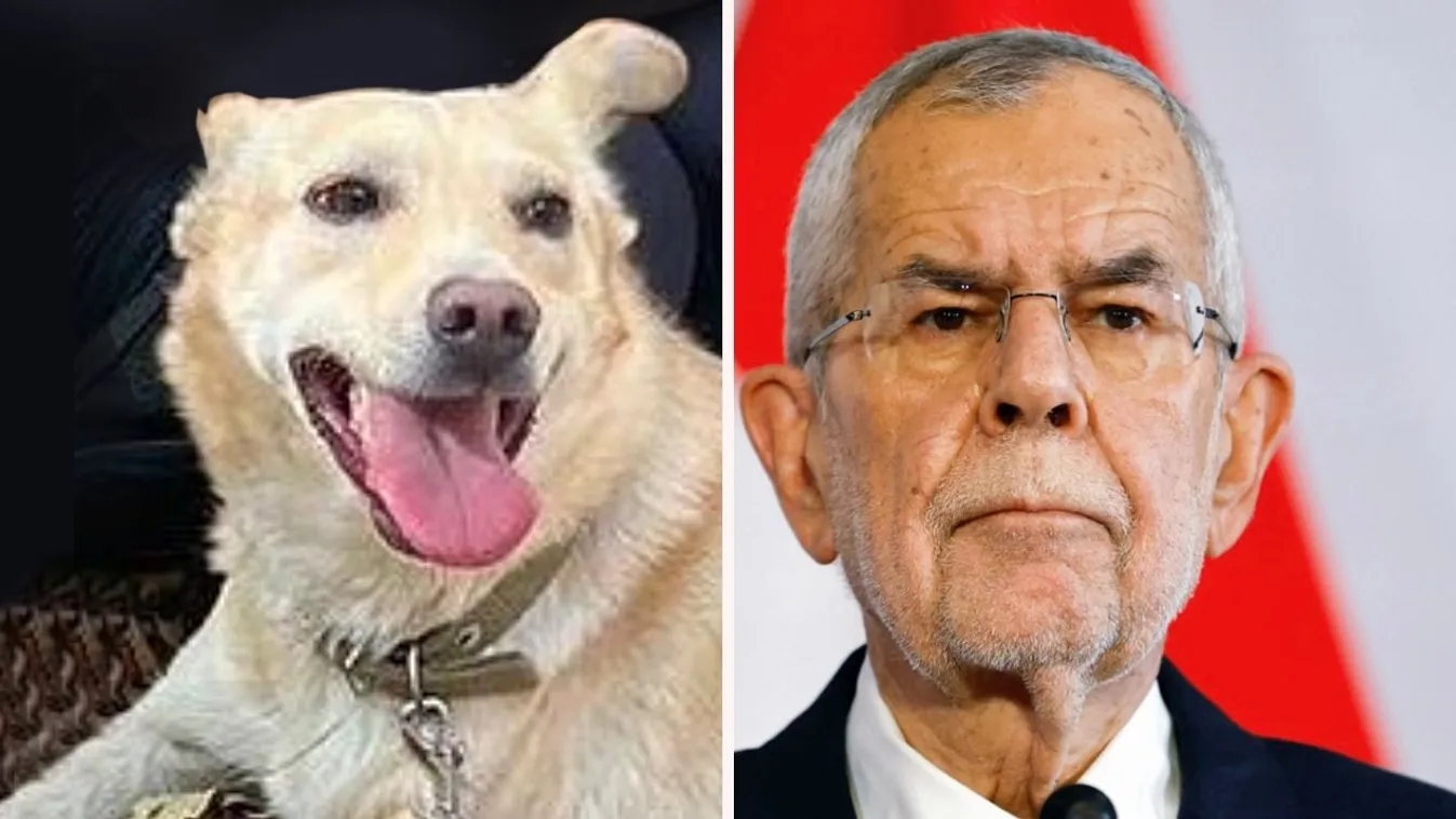 A moldovai államfő kutyája megtámadta az osztrák elnököt