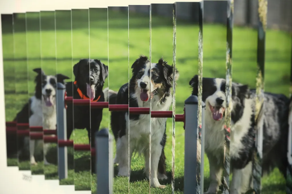 Liget Budapest Projekt első 10 évét bemutató interaktív kiállítás megnyitója