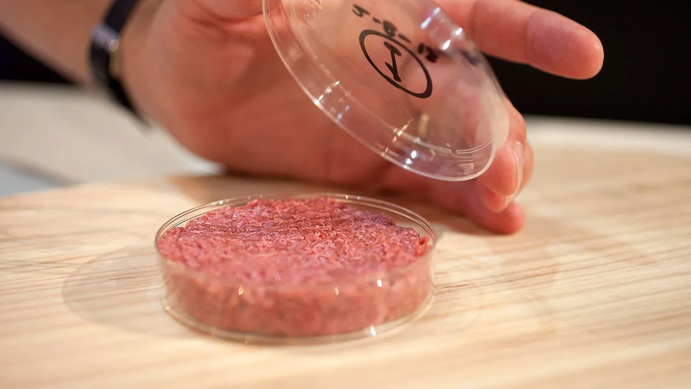 Betiltották a mesterséges "műhúst" Olaszországban