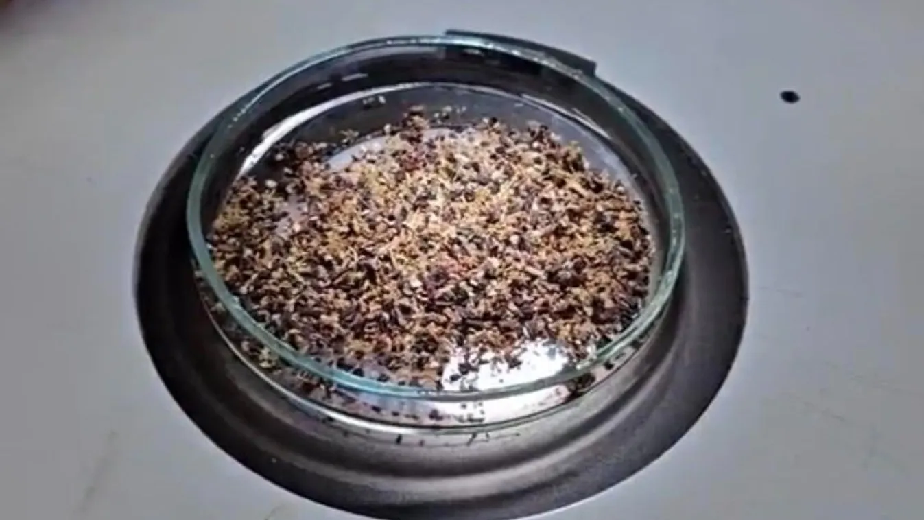 Ezért ne tárold sokáig a teafiltereket