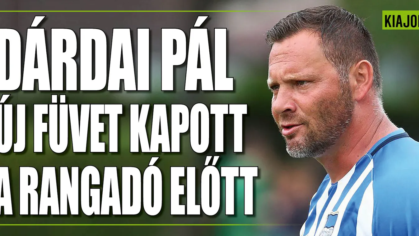 „Örülök a középszerűségnek” – Dárdai Pál príma füvet kapott