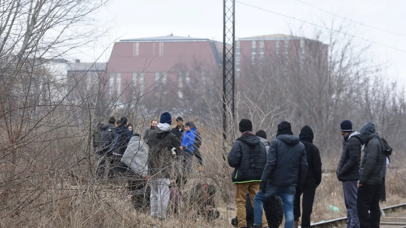  Lecsaptak a migránsoknak  prostikat szállító férfiakra